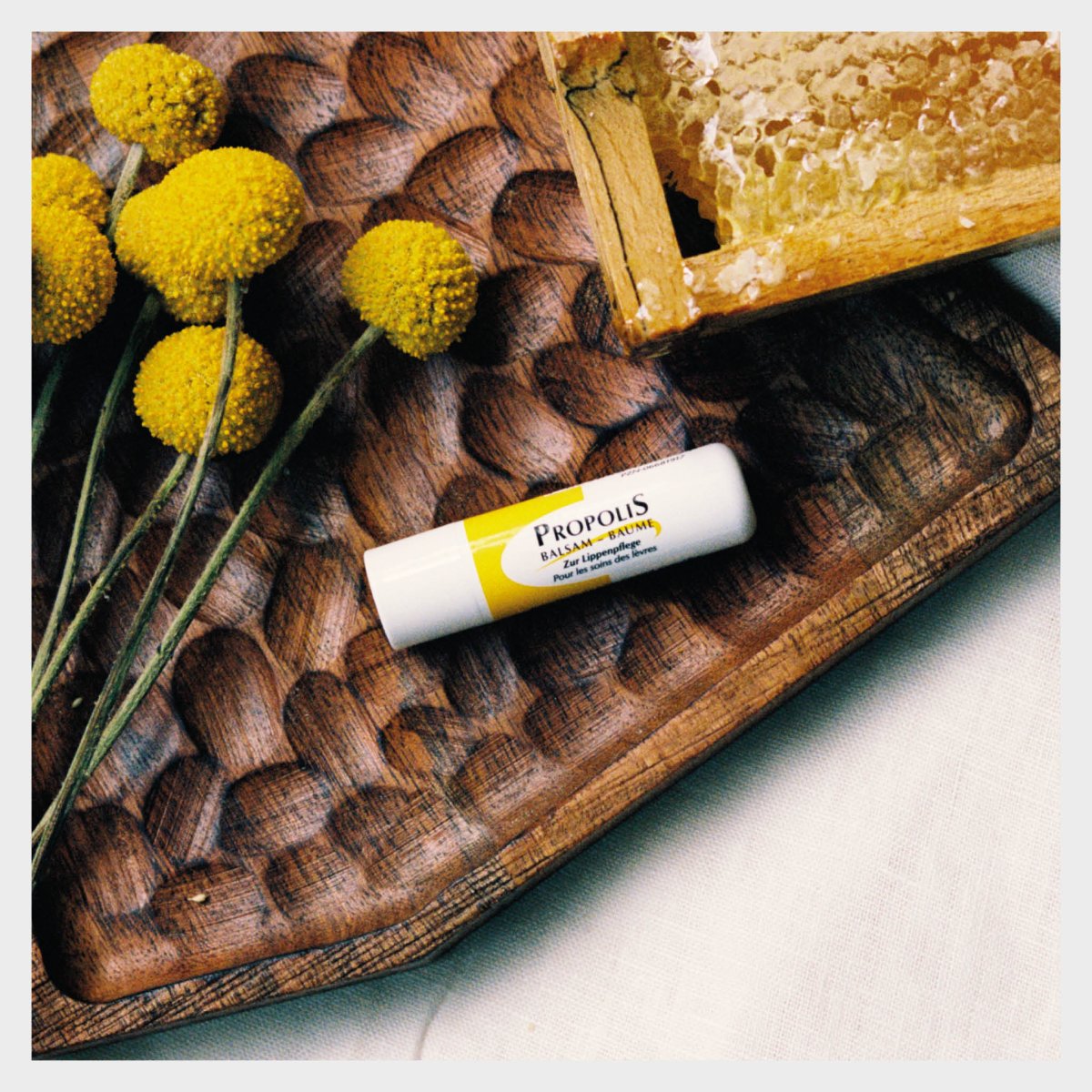 Propolis Original Lippenpflegestift – Bild 4